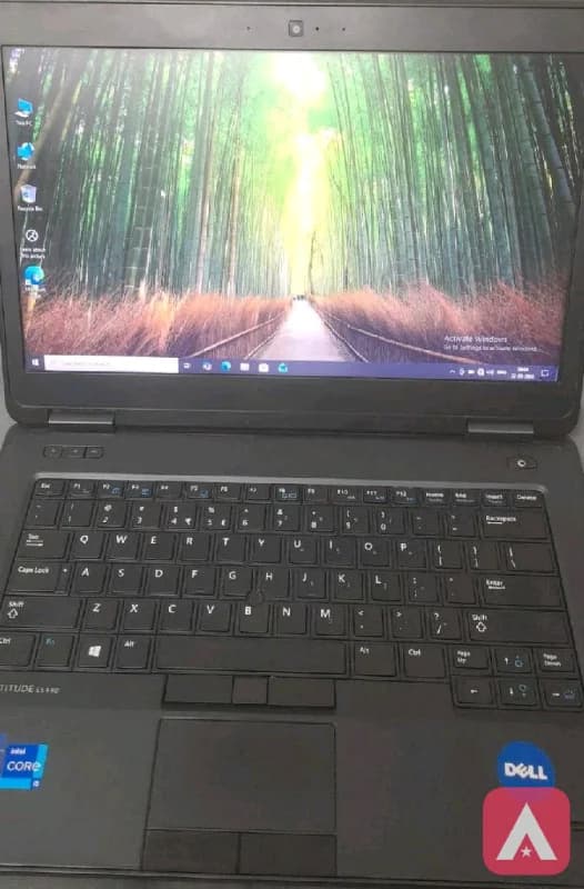 windows 10 Dell