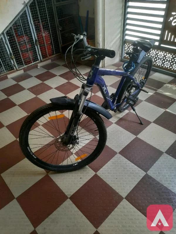 hangout cycle