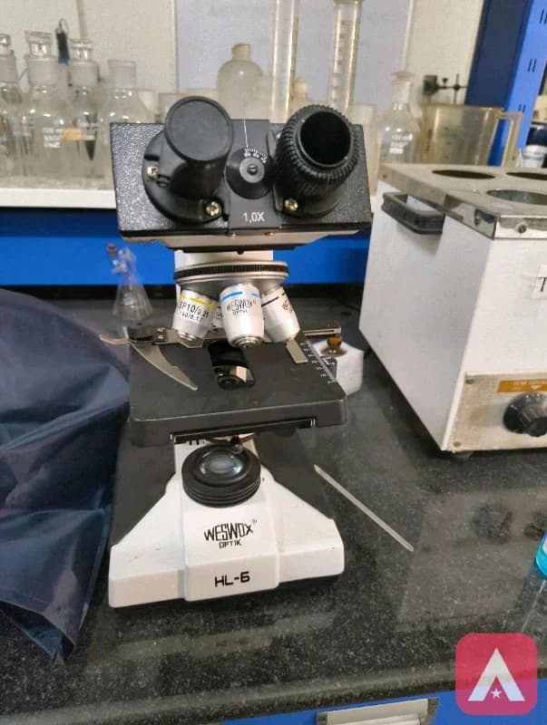 electronic microscope