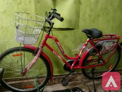 women's cycle
