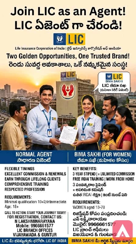 Insurance Agent