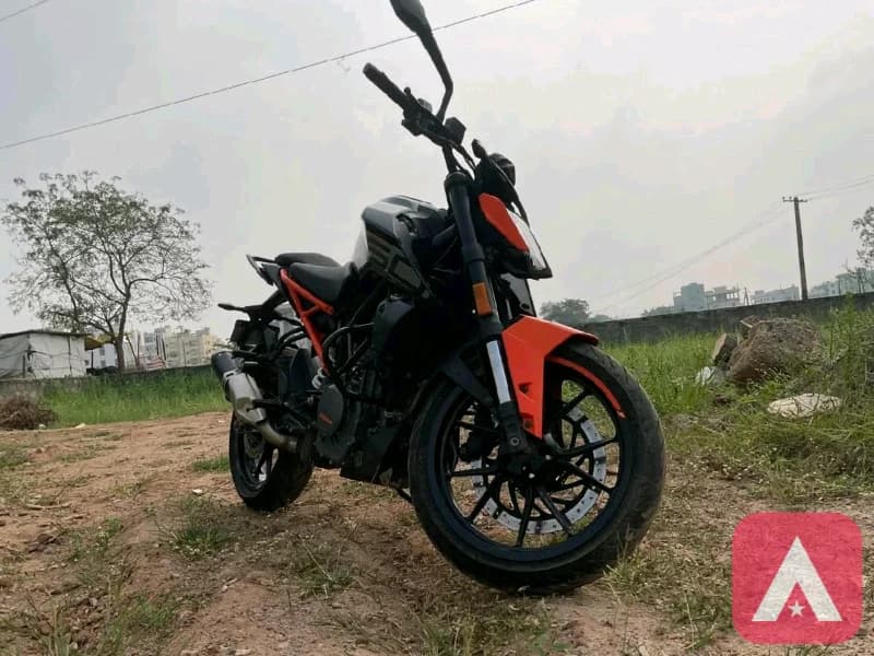Duke 250 2022 Q2