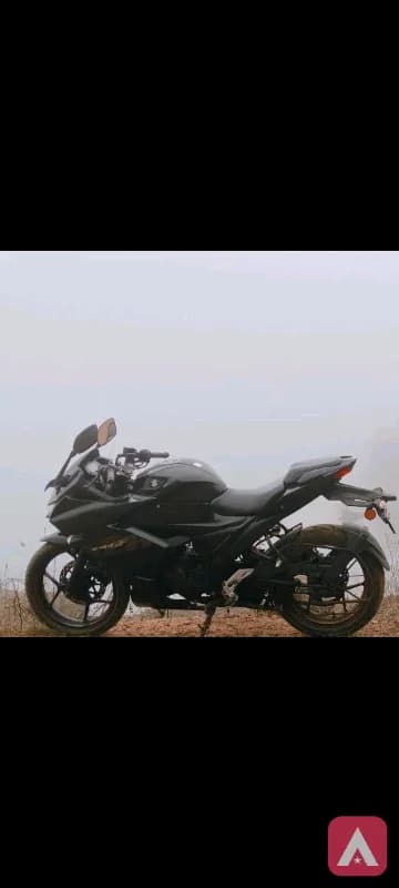 2021 model