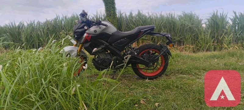 MT 15 (2023)
