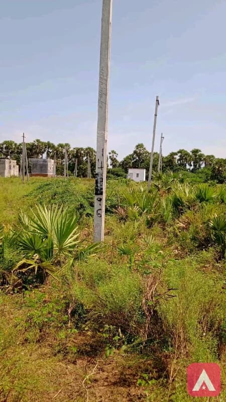 Jagananna Plot for Sale