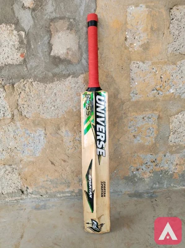 CRICKET BAT