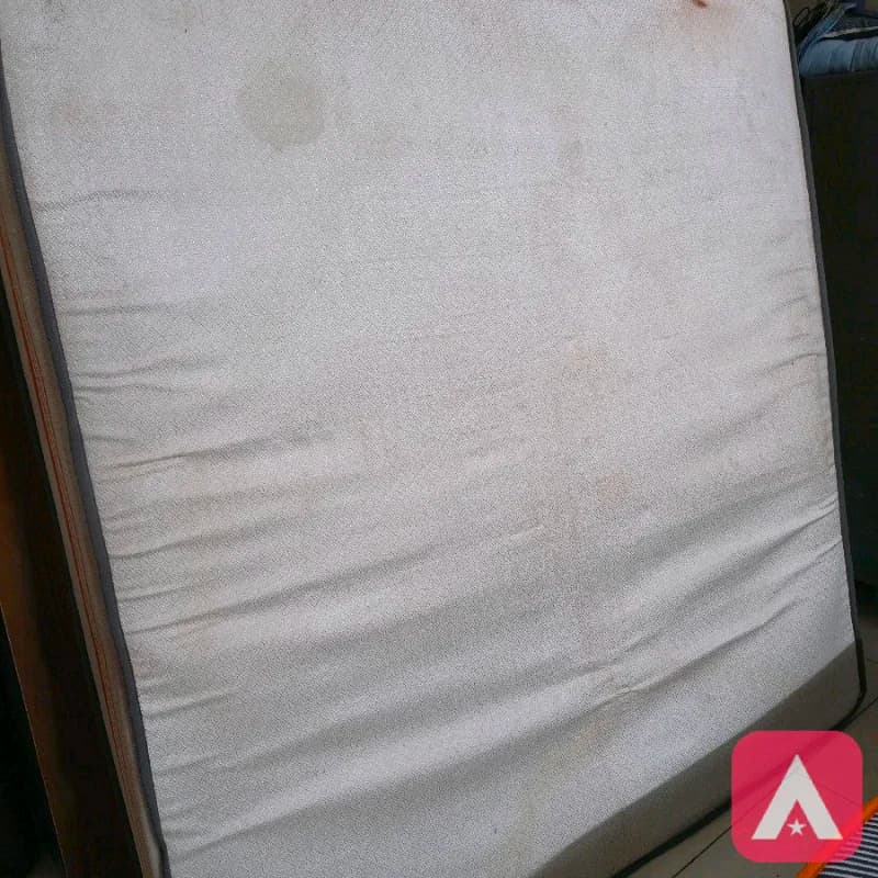 Bed Mattress
