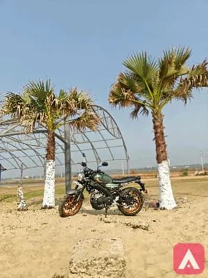 Yamaha xsr 155 good condition